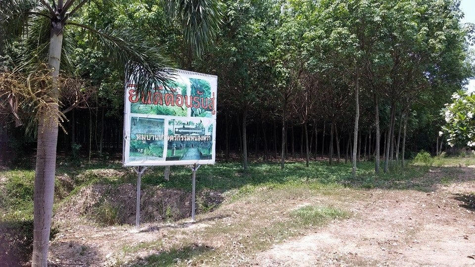 photo14.jpg