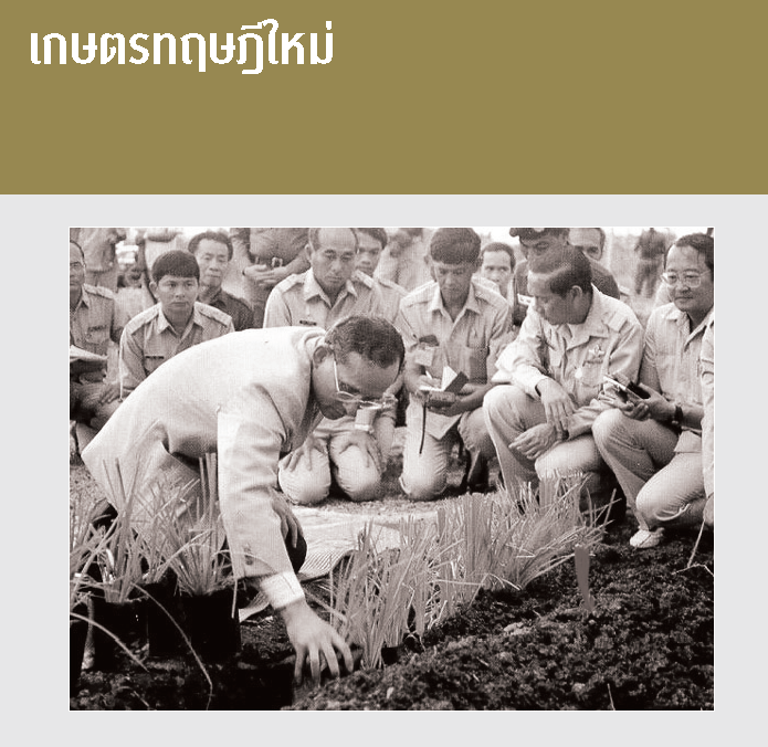 เกษตรทฤษฎีใหม่